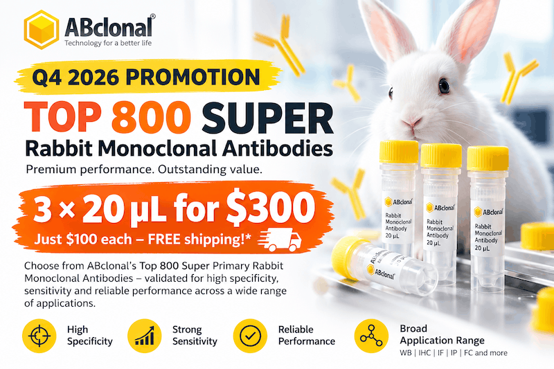 ABclonal Q4 2026 Top 800 Super Rabbit Monoclonal Antibodies promotion